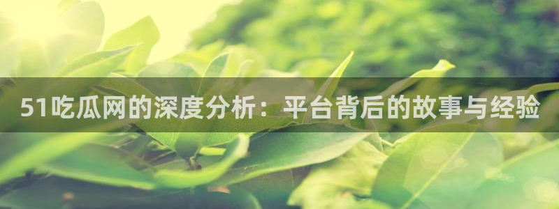 51吃瓜网的深度分析：平台背后的故事与经验