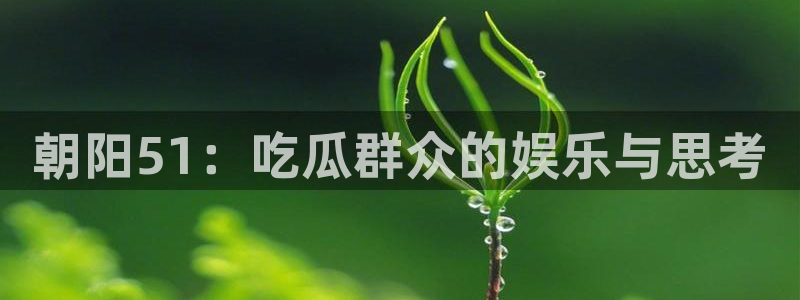 朝阳51：吃瓜群众的娱乐与思考