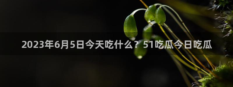 2023年6月5日今天吃什么？51吃瓜今日吃瓜